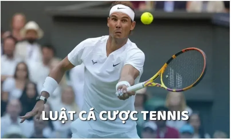 Lưu ngay luật cá cược tennis cơ bản