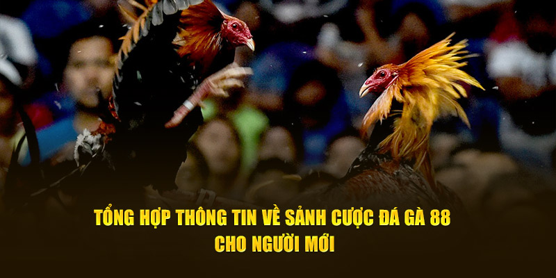 Đá Gà 88 Zbet 2 Giới thiệu về đá gà 88